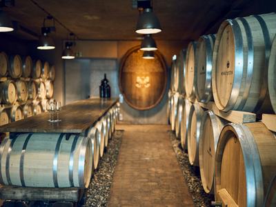 Weingut am Stein - Ludwig Knoll Galerie