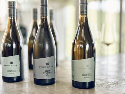 Weingut am Stein - Ludwig Knoll Galerie