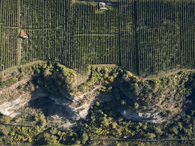 Weingut am Stein - Ludwig Knoll Galerie
