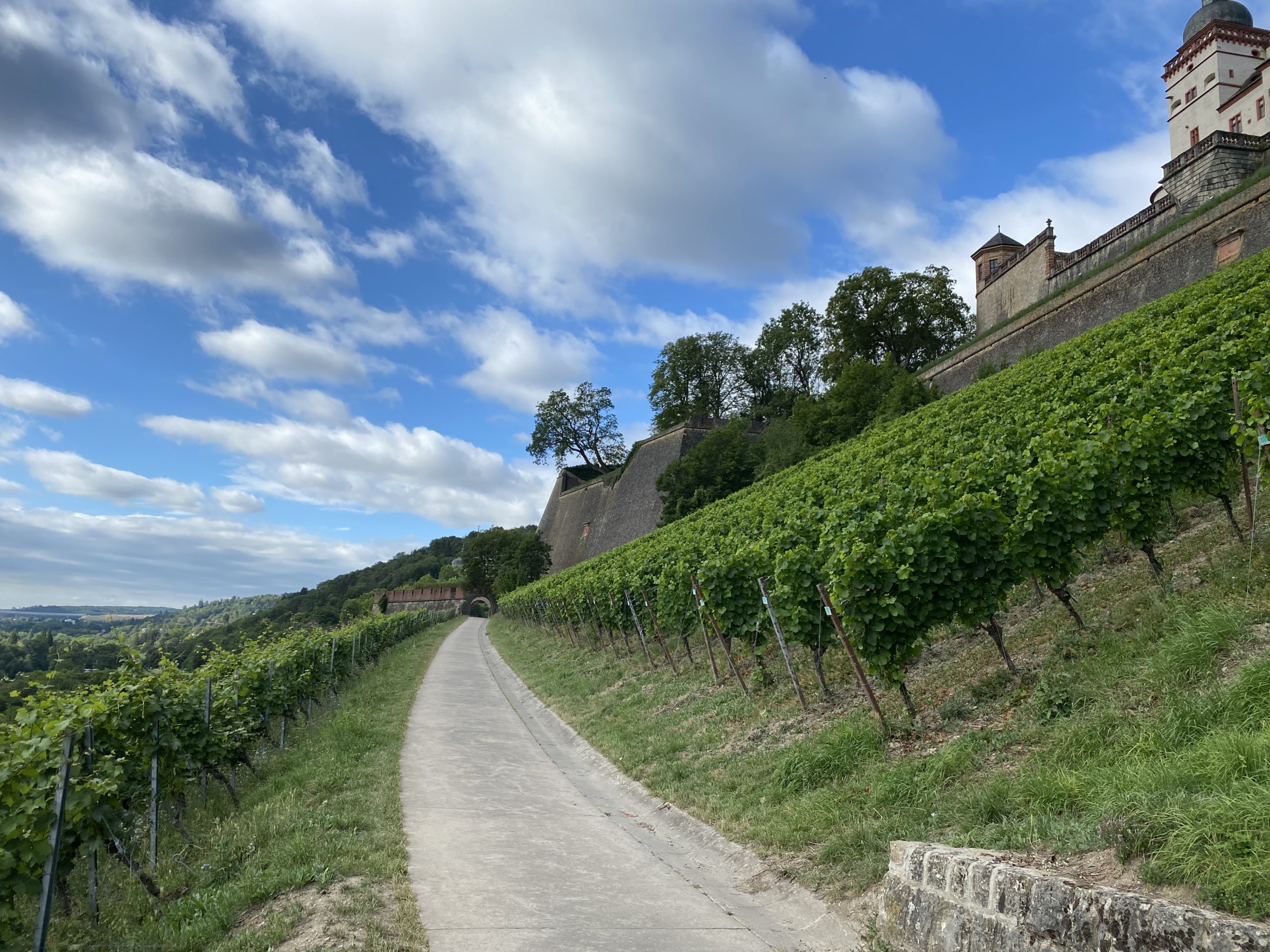 Weinwanderweg hoch zur Festung