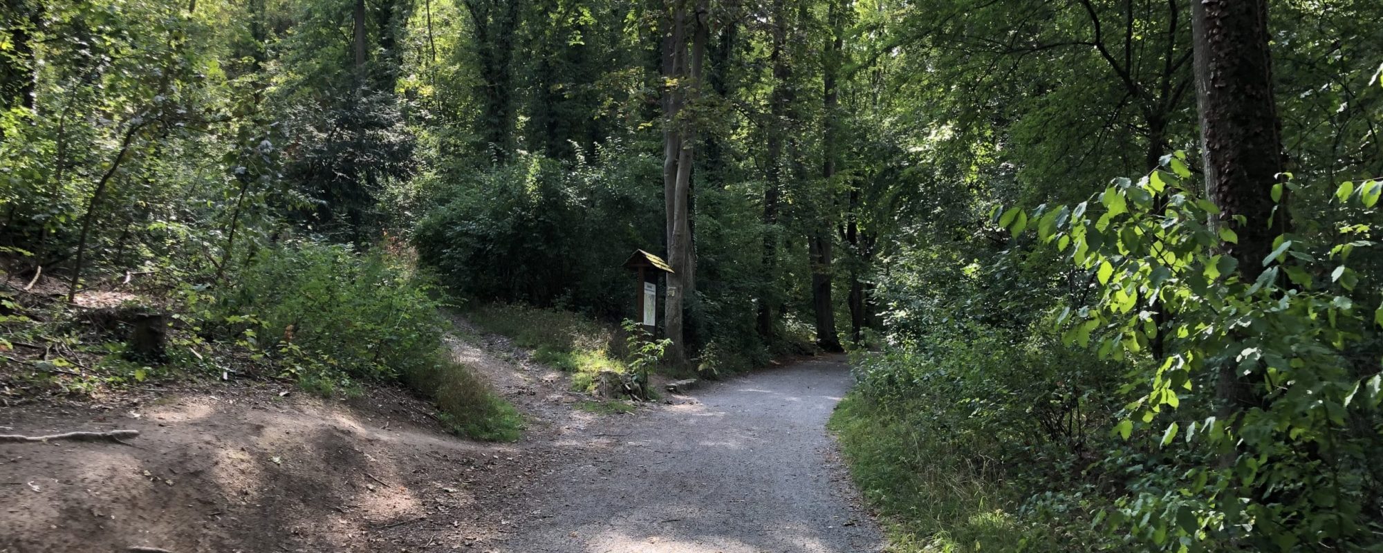Waldwanderweg Waldwanderweg im Steinbachtal